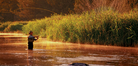 Williamson River Fly Fishing