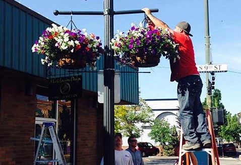 hanging flowers